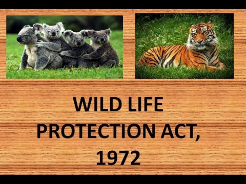 wildlife protection act