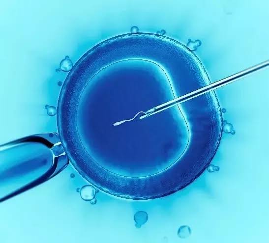 Right of Inheritance of an Artificially Inseminated Child under Muslim law